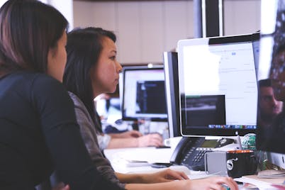 IT professionals at work